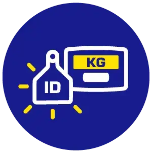 WEIGHING AND EID icon